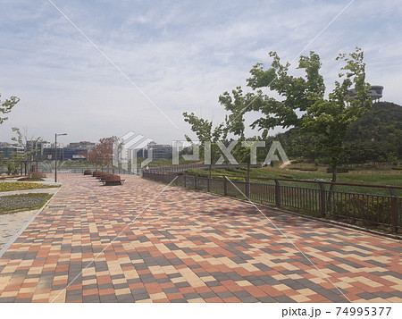 噴水 公園 湖公園 74995377