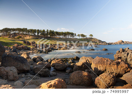 晴れた夕方の種差海岸の中須賀（三陸復興国立公園） 74995997