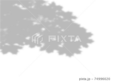 Vector Summer background of plant shadows. Shadow of tree leaves on a white wall. White and black to overlay a photo or mockup 74996020