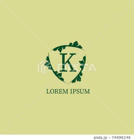 Letter K alphabetic logo design template isolated on green beige color. Decorative floral shield sign illustration. Nature Guard, Security logo concept. Letter K alphabetic logo design template isolated on green beige color. Decorative floral shield sign illustration. Nature Guard, Security logo concept. 74996246