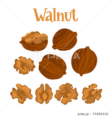 Healthy nutrition product. Walnut whole and half nuts. 74996330