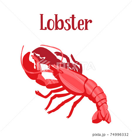Seafood healthy nutrition product. Red delicious lobster. 74996332