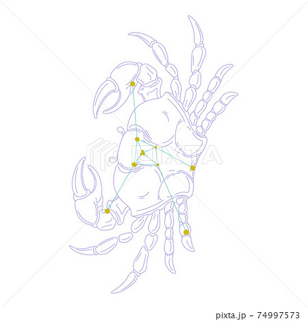 88星座シリーズA-白背景に星座絵と星座線-かに座 74997573