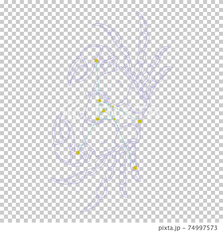 88星座シリーズA-白背景に星座絵と星座線-かに座 74997573