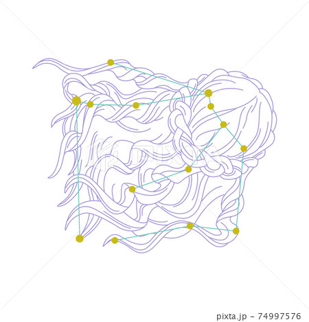 88星座シリーズA-白背景に星座絵と星座線-かみのけ座 88星座シリーズA-白背景に星座絵と星座線-かみのけ座 74997576