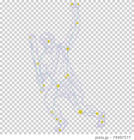 88星座シリーズA-白背景に星座絵と星座線-うしかい座 88星座シリーズA-白背景に星座絵と星座線-うしかい座 74997577