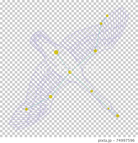 88星座シリーズA-白背景に星座絵と星座線-はくちょう座 74997596