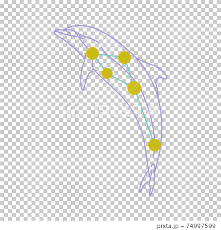 88星座シリーズA-白背景に星座絵と星座線-いるか座 74997599