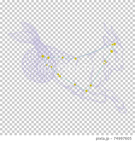 88星座シリーズA-白背景に星座絵と星座線-やぎ座 88星座シリーズA-白背景に星座絵と星座線-やぎ座 74997605