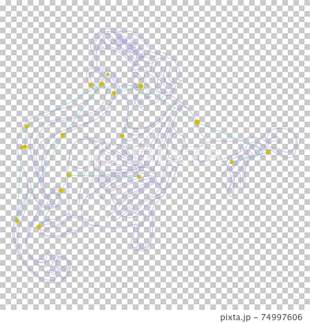 88星座シリーズA-白背景に星座絵と星座線-みずがめ座 88星座シリーズA-白背景に星座絵と星座線-みずがめ座 74997606