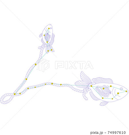 88星座シリーズA-白背景に星座絵と星座線-うお座 74997610