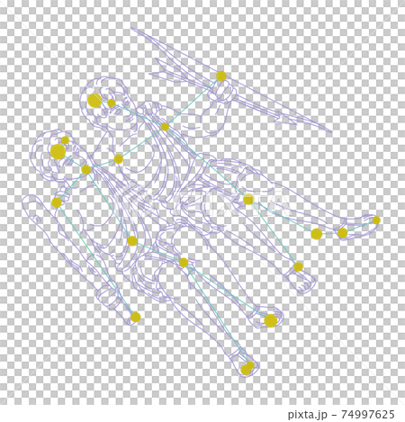 88星座シリーズA-白背景に星座絵と星座線-ふたご座 74997625