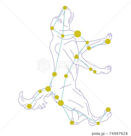 88星座シリーズA-白背景に星座絵と星座線-おおいぬ座 74997628