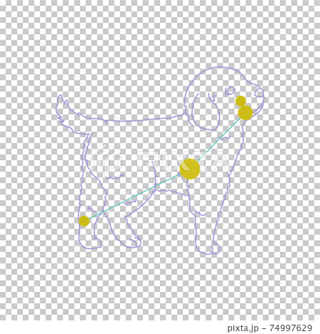 88 Constellation Series A-Constellation picture and constellation line on white background-Canis Minor 74997629