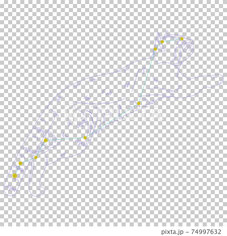 88星座シリーズA-白背景に星座絵と星座線-やまねこ座 74997632