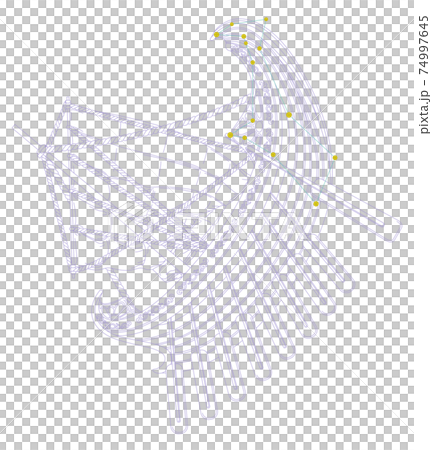 88星座シリーズA-白背景に星座絵と星座線-とも座 74997645