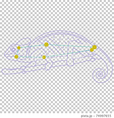 88星座シリーズA-白背景に星座絵と星座線-かめれおん座 74997655