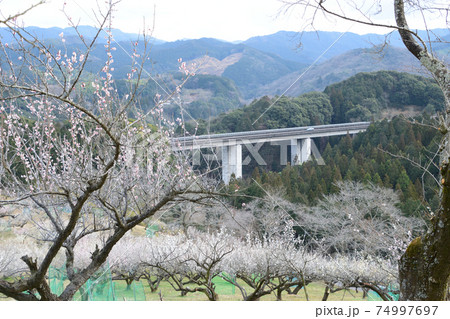 人吉梅園 74997697