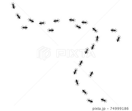 Ant icon vector illustration design 74999186