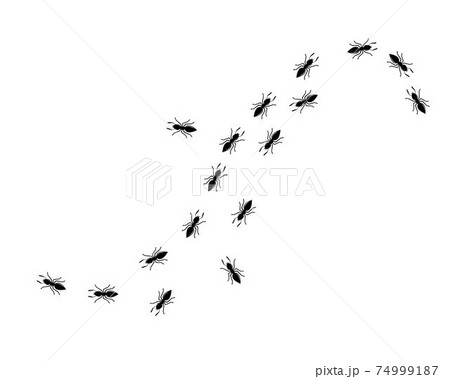 Ant icon vector illustration design 74999187