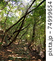 遍路道　高知市五台山・四国霊場第31番札所竹林寺 74999654