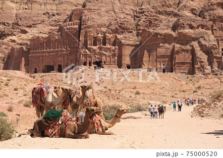 アフターコロナ、中東ヨルダンのペトラ遺跡、ラクダと散歩 アフターコロナ、中東ヨルダンのペトラ遺跡、ラクダと散歩 75000520