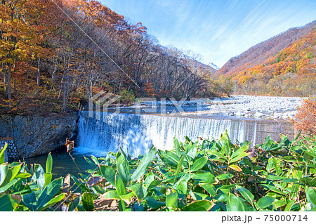 湯檜曽川 砂防ダム 谷川連峰 湯檜曽公園付近の景色 の写真素材