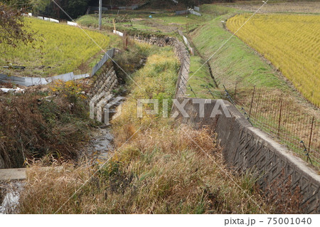 岡山県 鏡野町の風景 岡山県 鏡野町の風景 75001040