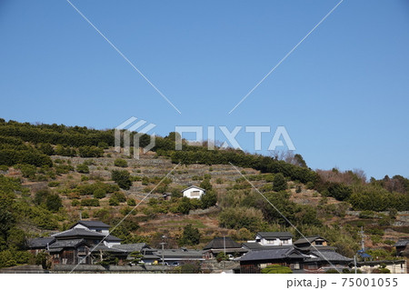 徳島県徳島市ハ多町の天空集落 徳島県徳島市ハ多町の天空集落 75001055