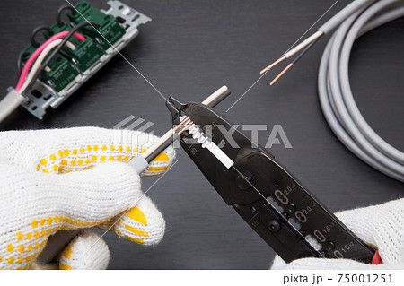 電気工事 ケーブルの絶縁被覆を剥ぎ取る作業 電気工事 ケーブルの絶縁被覆を剥ぎ取る作業 75001251