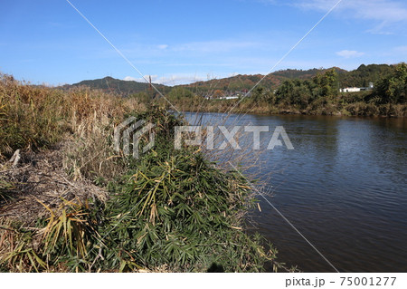 岡山県 吉井川 岡山県 吉井川 75001277
