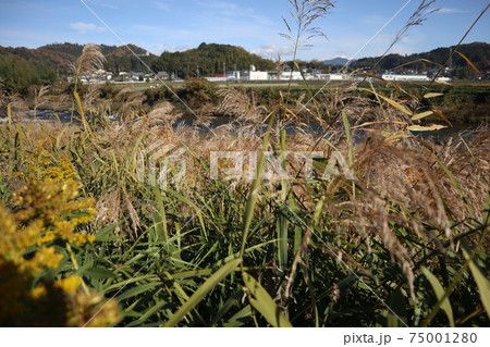 岡山県　吉井川 75001280