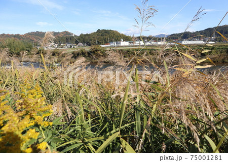 岡山県 吉井川 岡山県 吉井川 75001281