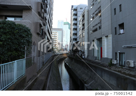 渋谷 街並み 渋谷 街並み 75001542