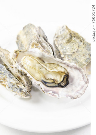おいしい殻付きの蒸したカキ 75001724