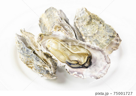 おいしい殻付きの蒸した牡蠣 おいしい殻付きの蒸した牡蠣 75001727