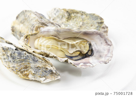 おいしい殻付きの蒸した牡蛎 おいしい殻付きの蒸した牡蛎 75001728