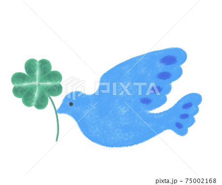 クローバーを咥えた青い鳥の手描きイラストのイラスト素材