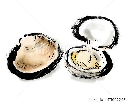 あさりの和風手描きイラストのイラスト素材