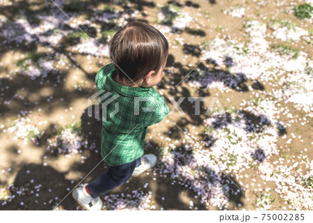 春のお出かけ 75002285