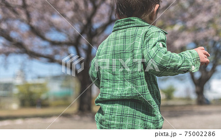 春のお出かけ 75002286