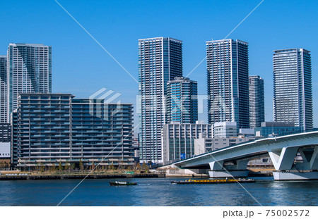 日本の東京都市景観 タワーマンション群や豊洲大橋などを望む 日本の東京都市景観 タワーマンション群や豊洲大橋などを望む 75002572