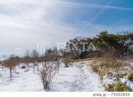 六甲山の山頂付近 75002839