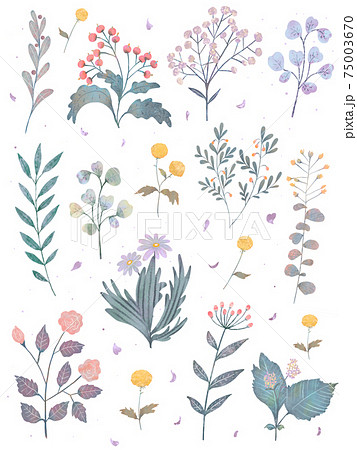 北欧風優しい色使いのオシャレな植物やお花の白バックのイラストのイラスト素材
