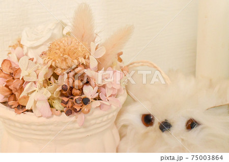 シロフクロウとお花 シロフクロウとお花 75003864