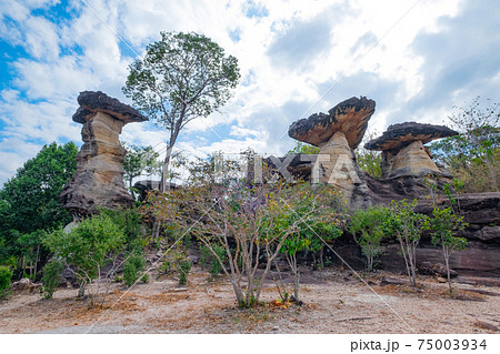 タイ東北部の奇岩　サオ・チャリエン1 75003934