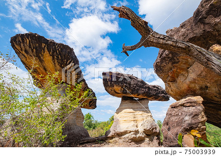 タイ東北部の奇岩　サオ・チャリエン2 75003939