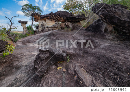 タイ東北部の奇岩　サオ・チャリエン4 75003942