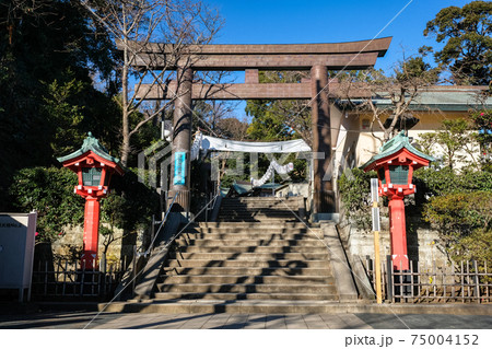 神奈川県藤沢市 江島神社 辺津宮 鳥居 神奈川県藤沢市 江島神社 辺津宮 鳥居 75004152