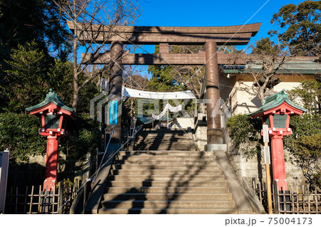 神奈川県藤沢市 江島神社 辺津宮 鳥居 75004173